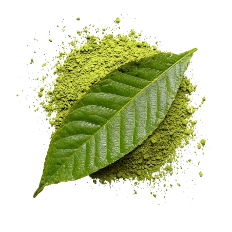 Thé vert Matcha