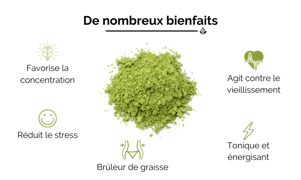 thé matcha bienfaits